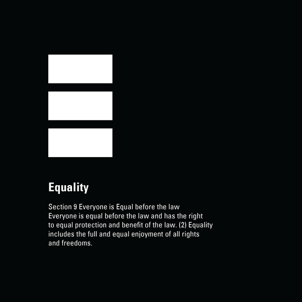 Equality T-shirt